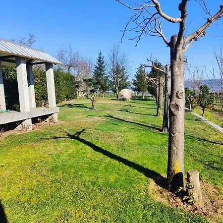 Quinta De Basto House Фелгейраш