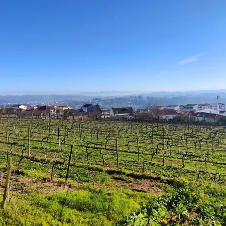 Quinta De Basto House *