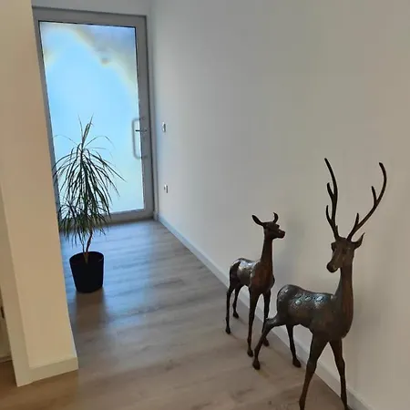 Quinta De Basto House Guest house Felgueiras