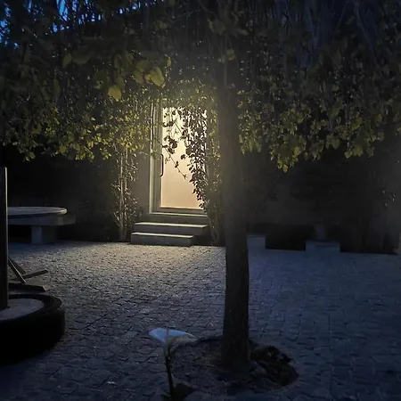 Quinta De Basto House