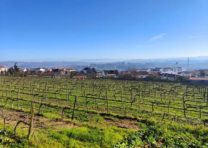 Quinta De Basto House *