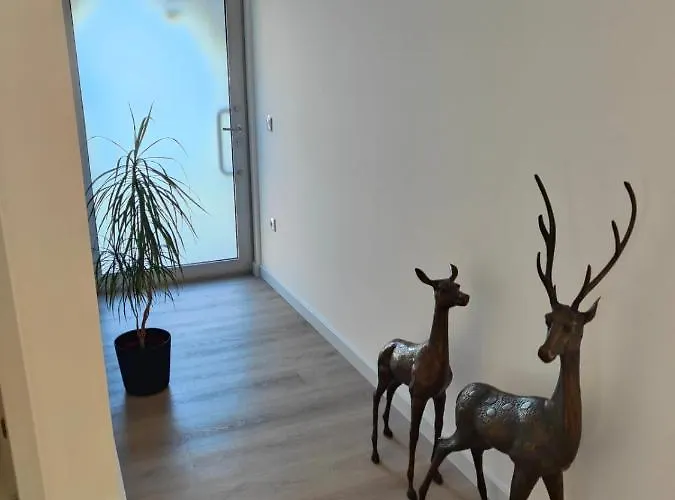 Quinta De Basto House Pensionat Felgueiras